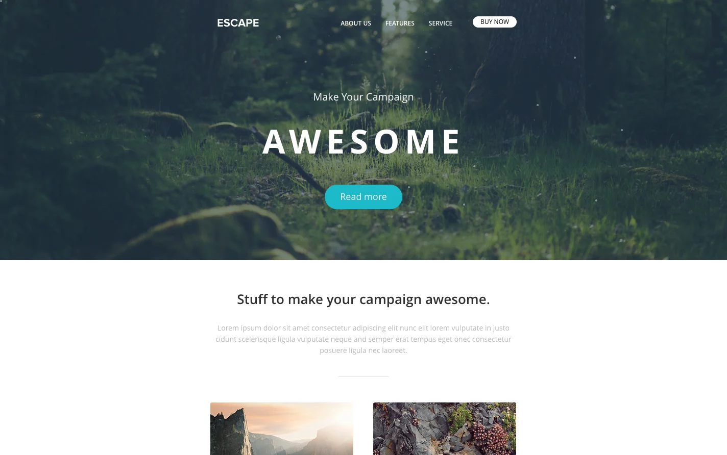 A template exported from the builder, Escape: a forest photograph behind the word Awesome and a Read more button, with a short introduction below.